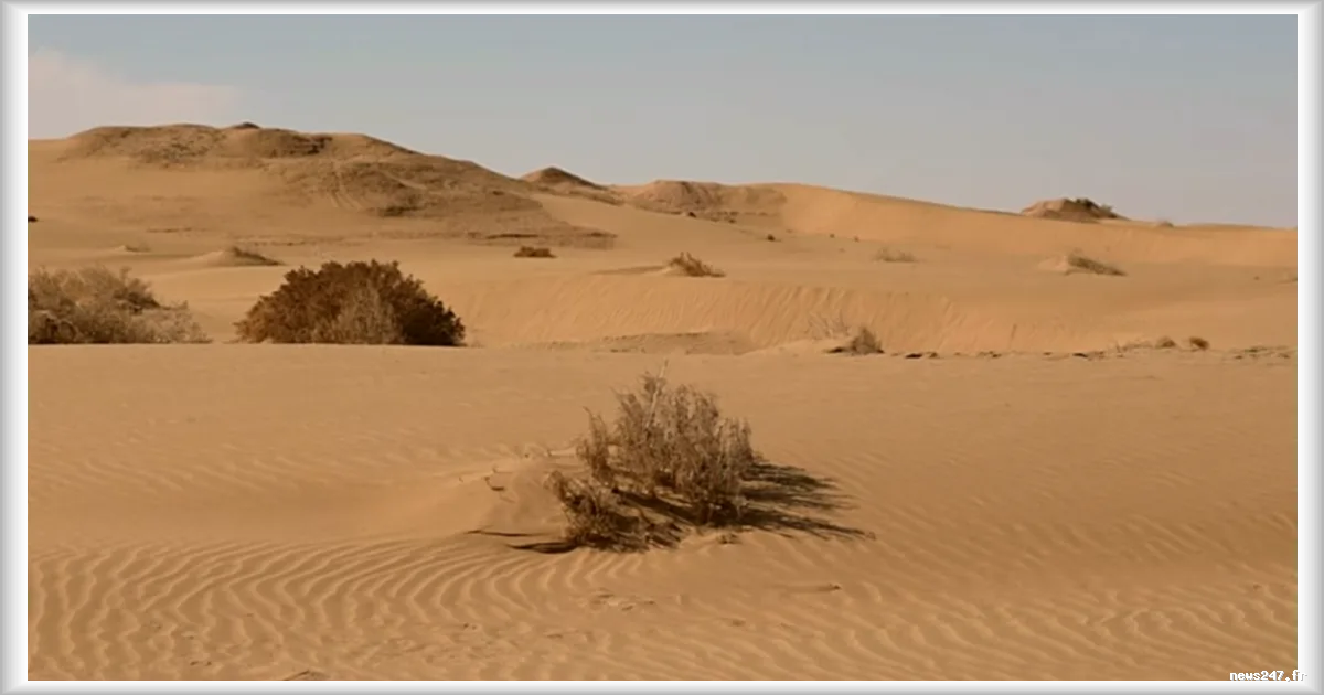 Ouzbékistan : l’eau et le sable, artisans de l’histoire et des paysages