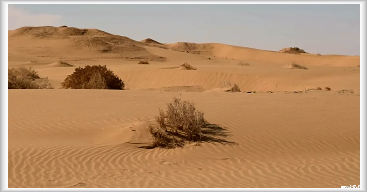 Ouzbékistan : l’eau et le sable, artisans de l’histoire et des paysages