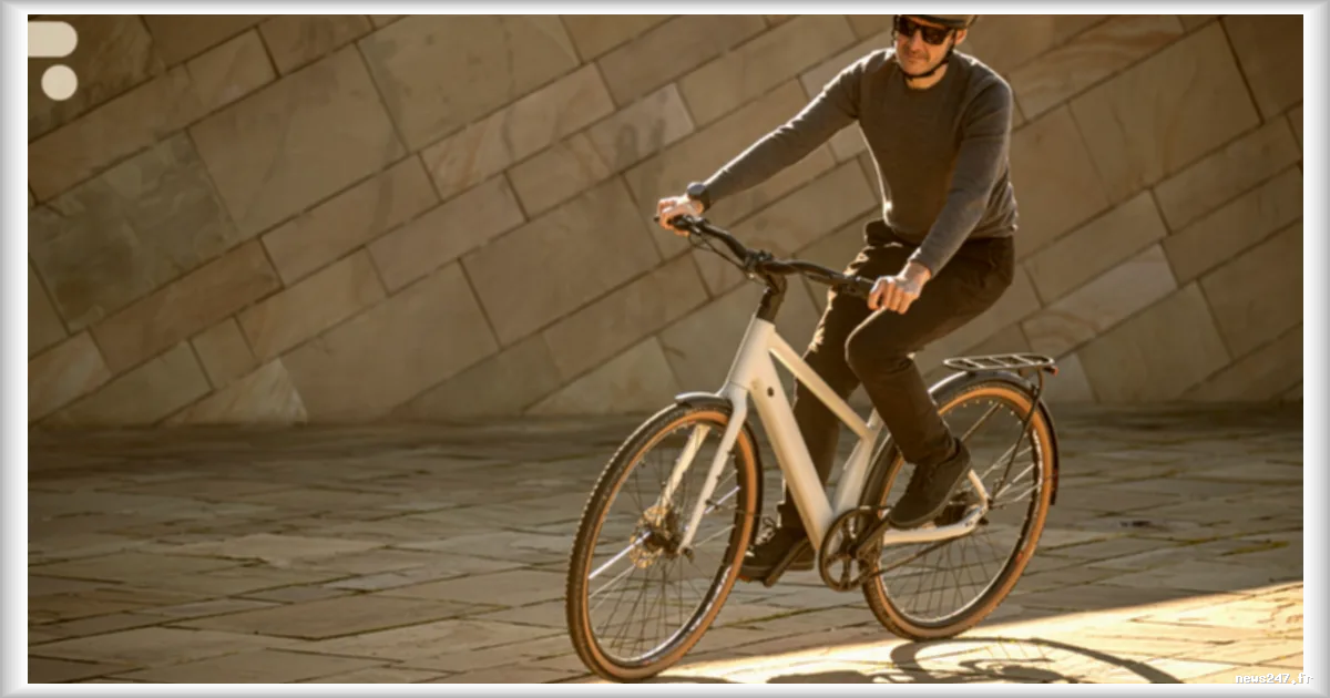 Panne de moteur de vélo électrique : étude néerlandaise sur les causes fréquentes et solutions
