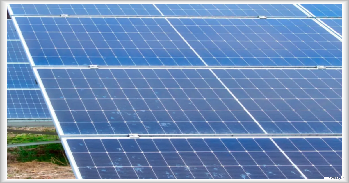 Panneaux solaires : l'industrie sacrifierait-elle leur durée de vie pour réduire les coûts ?