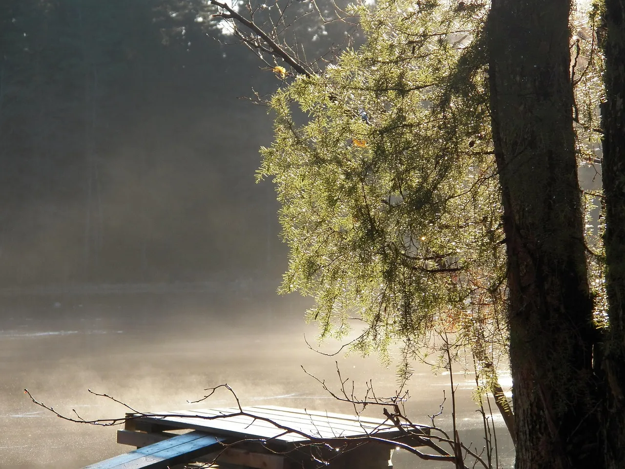 Paramount mise tout sur Warner Bros : une offre qui fait trembler Hollywood