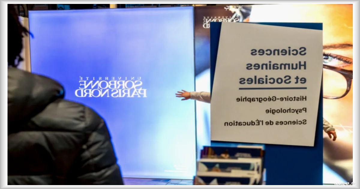 Parcoursup : les jeunes face à la concurrence de l'IA dans les métiers créatifs