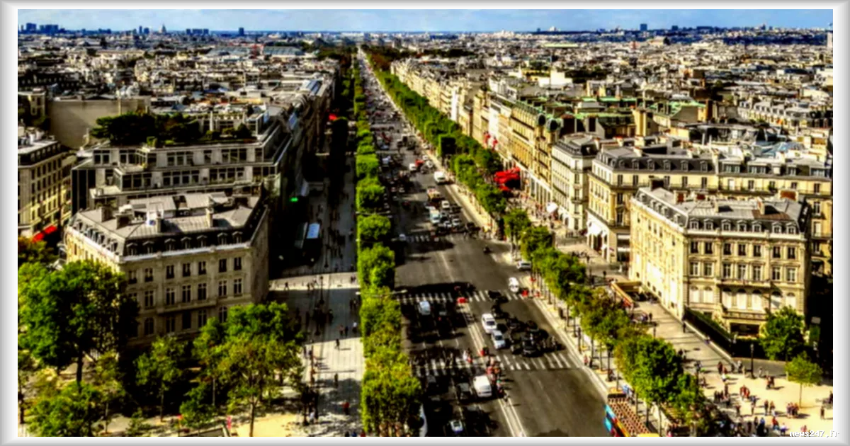 Paris : Découvrez l'avenue Montaigne, la rue la plus chère de la capitale avec plus de 23 000 euros du mètre carré