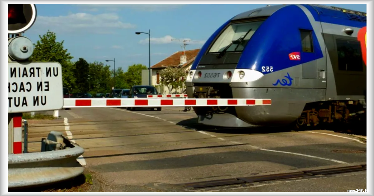 Passages à niveau : une vingtaine de morts chaque année dans des accidents récurrents