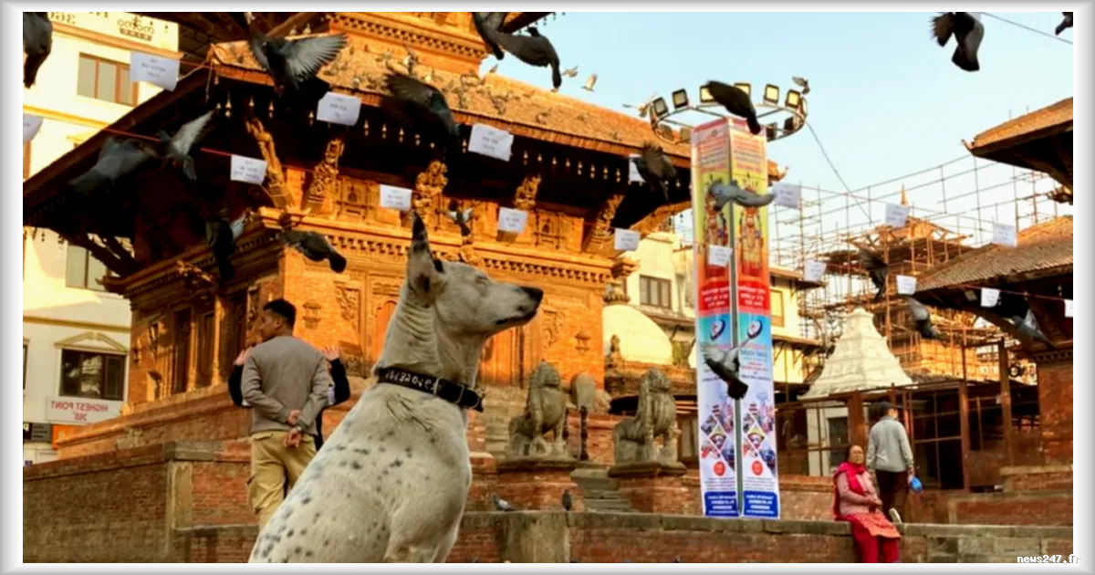 Patan, joyau culturel newar au Népal, héritier d’un artisanat et d’une architecture millénaires