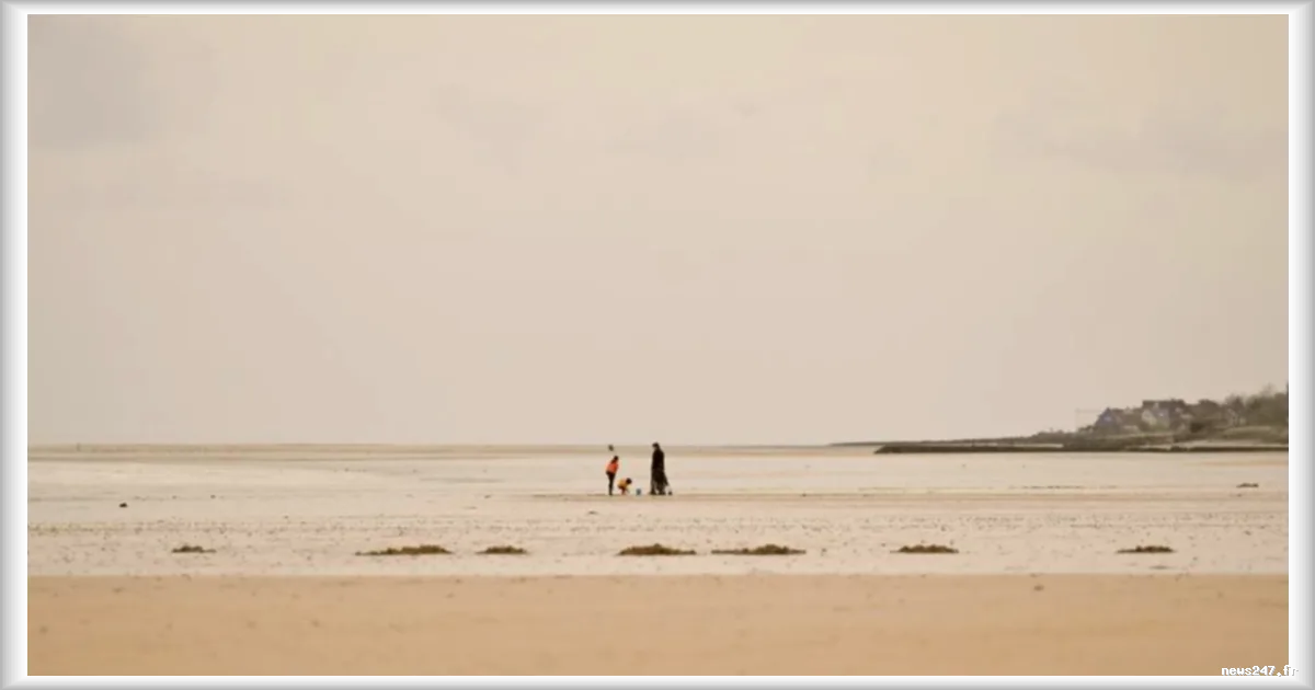 Patrimoine mondial de l'UNESCO : le classement des plages du Débarquement relance le conflit autour du parc éolien offshore de Courseulles-sur-Mer