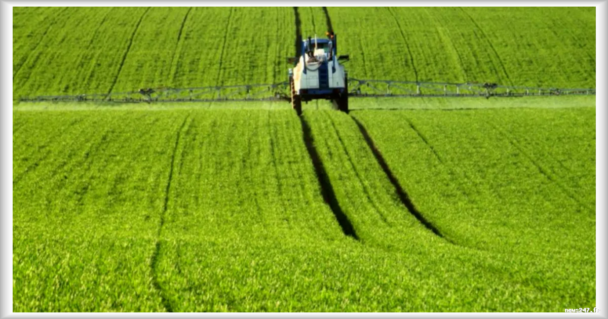 Pesticides, pollution et alimentation : le cancer est-il lié à notre environnement ?