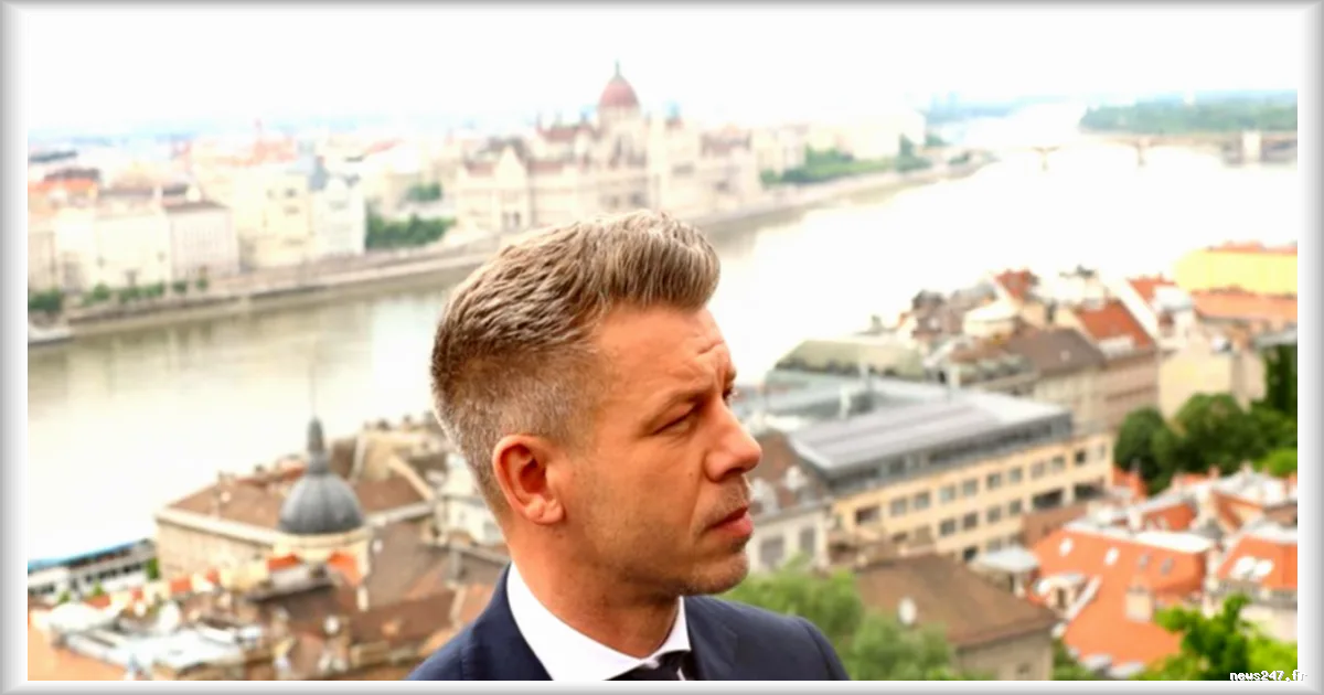 Péter Magyar en visite officielle en Pologne et en Autriche : une stratégie de rapprochement avec l'UE après Orbán