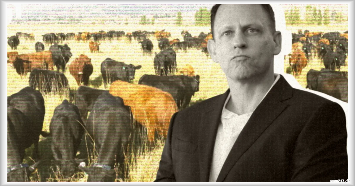 Peter Thiel investit dans l'agritech : des colliers connectés pour vaches dopés à l'IA