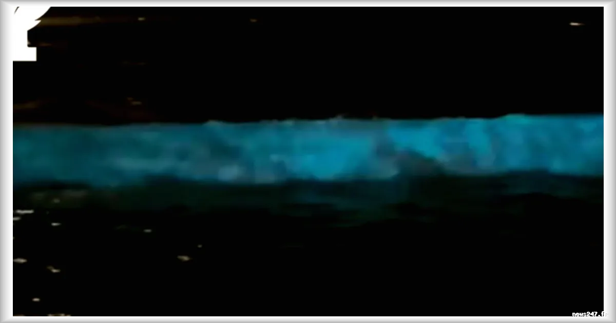 Phénomène rare en Bretagne : des vagues bioluminescentes illuminent la plage de La Baule