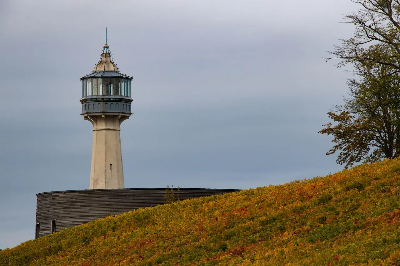 Plus de 1 200 essais et documents à paraître cet automne : les grands thèmes qui marqueront la rentrée littéraire