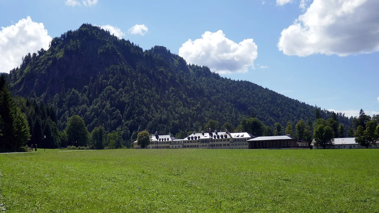 Poiscaille, le livreur de poissons à domicile, connaît un essor fulgurant après son passage sur M6
