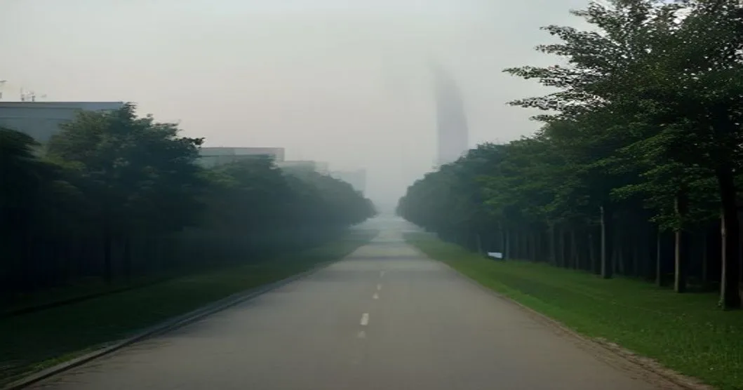 Pollution urbaine : certaines espèces d'arbres pourraient aggraver la qualité de l'air, selon une étude chinoise