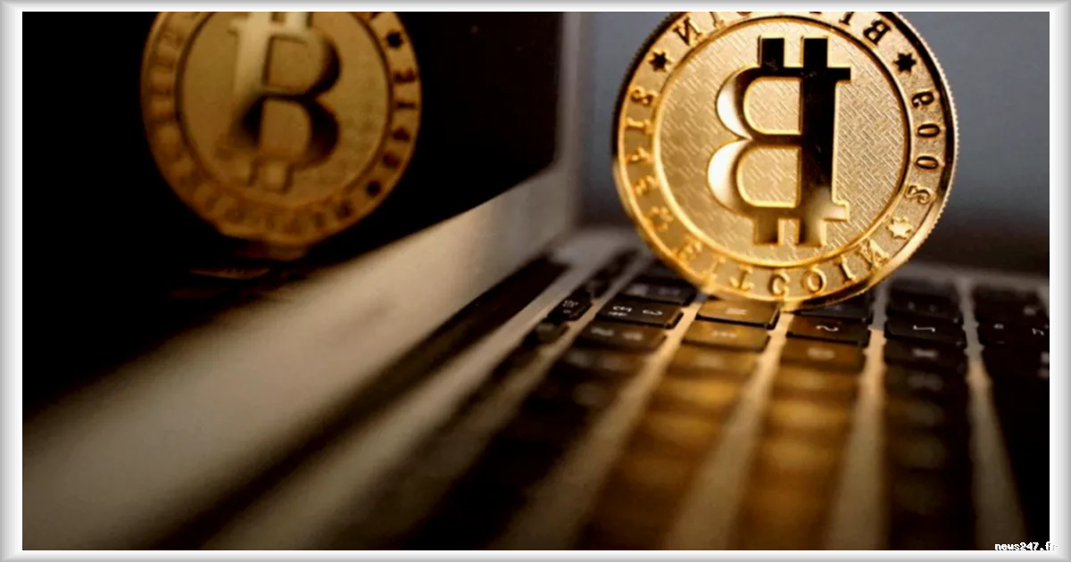 Pologne : l’effondrement de Zondacrypto, la plus grande escroquerie financière des dernières années, selon la presse locale