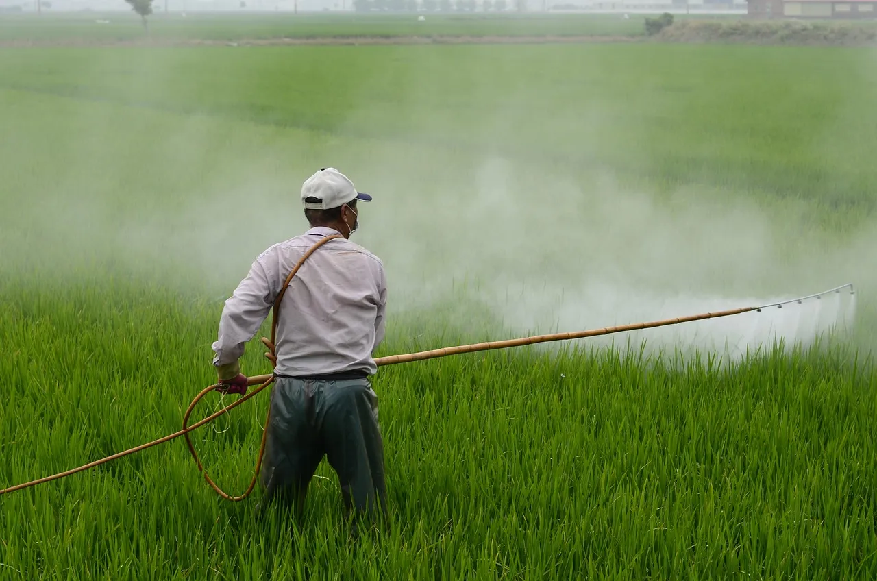 Port-la-Nouvelle dans l’œil d’une enquête sur le chlordécone, pesticide lié aux Antilles