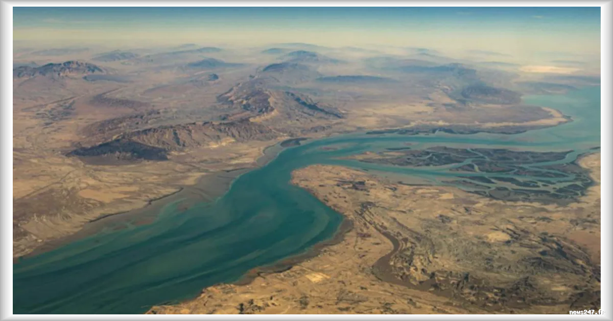 Porte-conteneurs touche par deux missiles lors de la traversée du détroit d'Ormuz