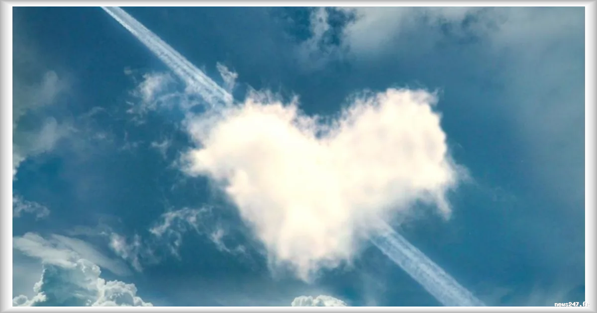 Porto désignée meilleure ville pour se remettre d'une rupture selon une étude