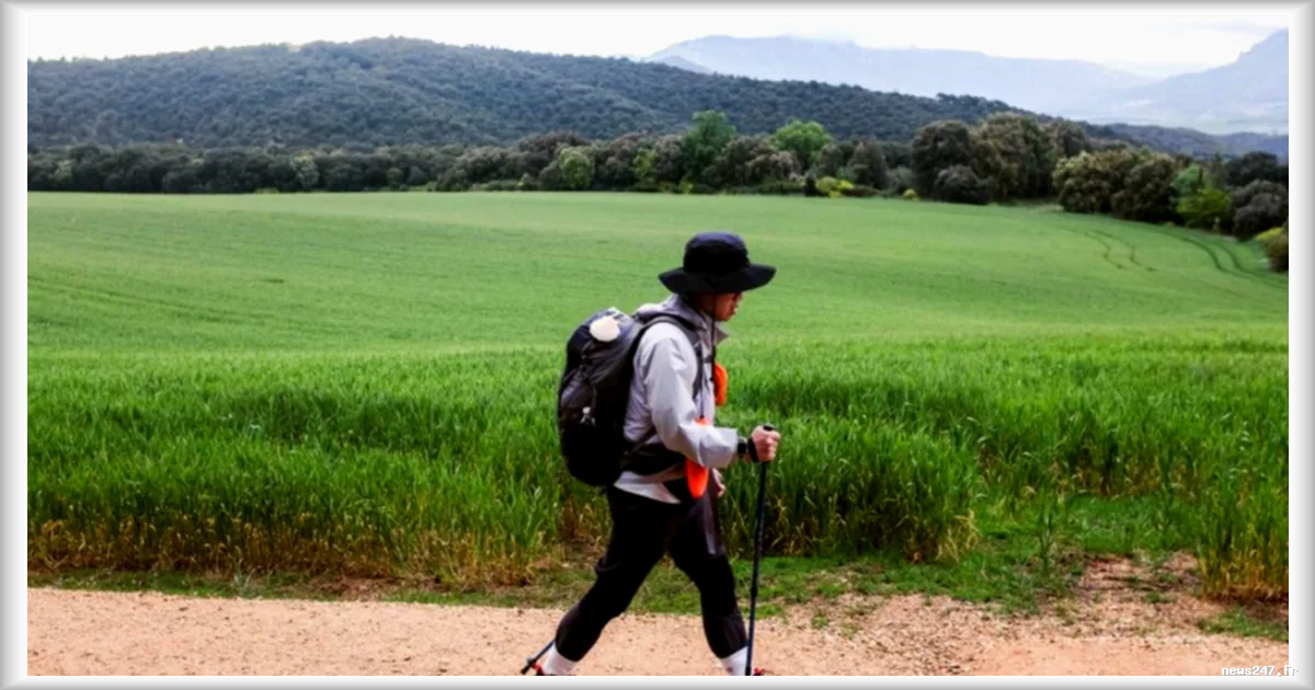Pourquoi le chemin de Compostelle attire-t-il de plus en plus de Sud-Coréens ?