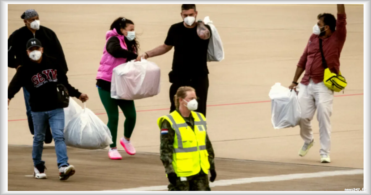 Premier cas d'hantavirus confirmé en France : 22 personnes identifiées comme contacts