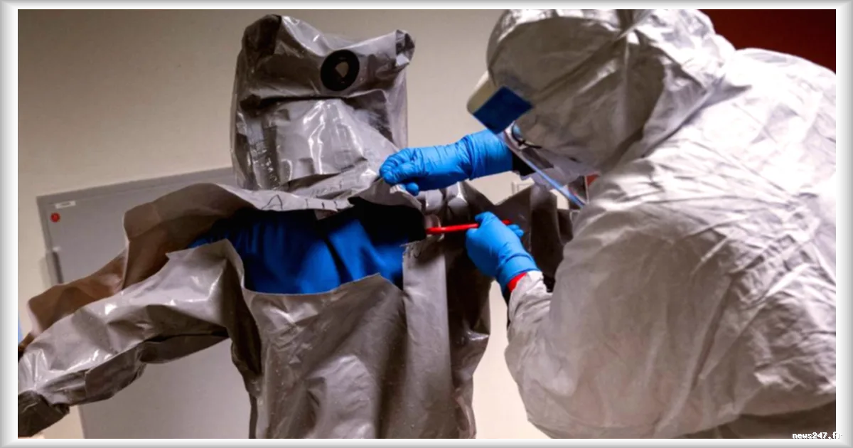 Première mondiale : des chercheurs créent des virus bactériens inédits grâce à l’intelligence artificielle