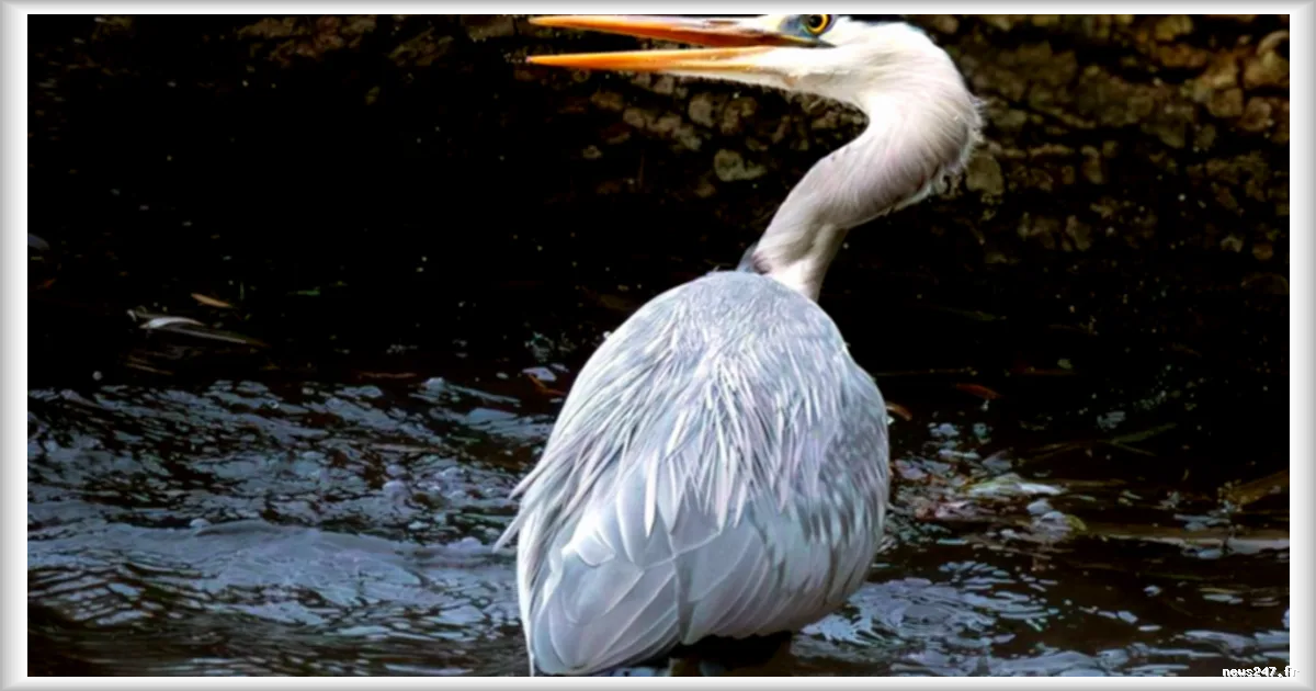 Près de Nantes, un sanctuaire de biodiversité de 582 hectares voit le jour