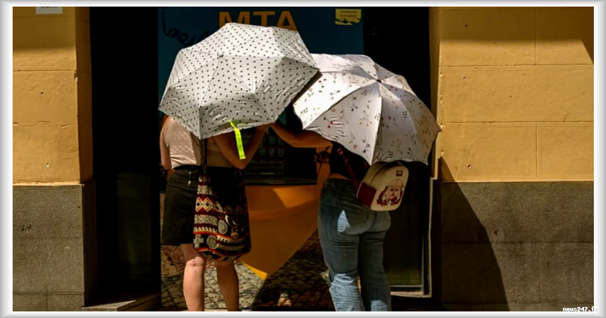 Prévision d'un possible phénomène El Niño exceptionnel : les températures mondiales pourraient augmenter