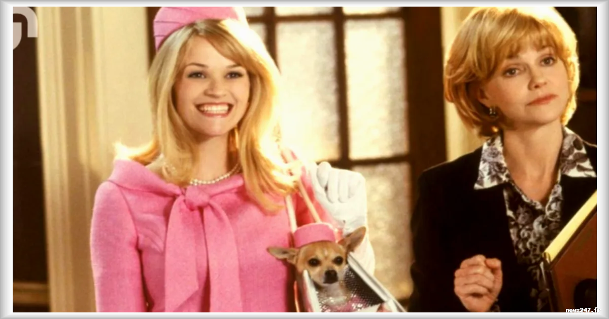 Prime Video dévoile le teaser de « Elle », préquelle de « La Revanche d’une blonde » avec Lexi Minetree dans le rôle-titre
