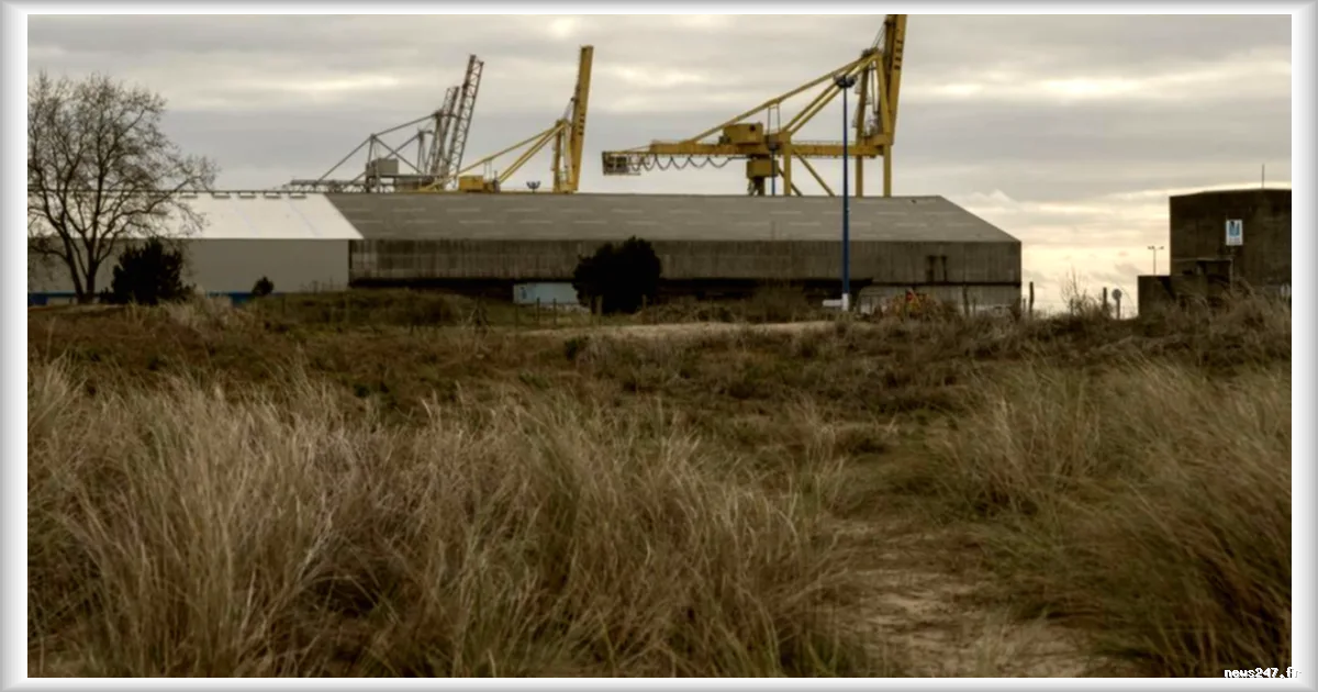 Projet de mégaferme à saumons en Gironde : la commission d’enquête publique émet un avis favorable malgré les oppositions