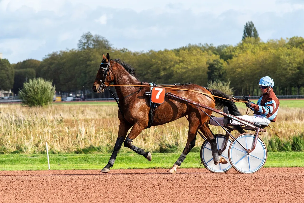 Pronostics Hippiques du Vendredi 20 Février 2026 sur l'Hippodrome de Vincennes