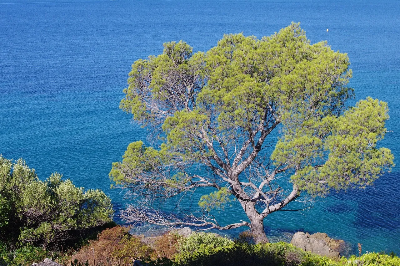 Provence-Alpes-Côte d'Azur refuse 100 000 euros de subventions pour la transmission des fermes