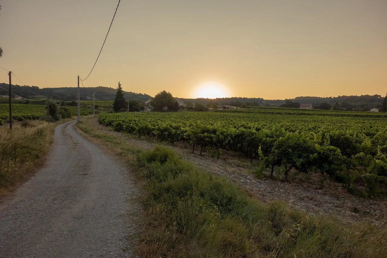 Provence-Alpes-Côte d'Azur refuse 100 000 euros de subventions pour la transmission des fermes
