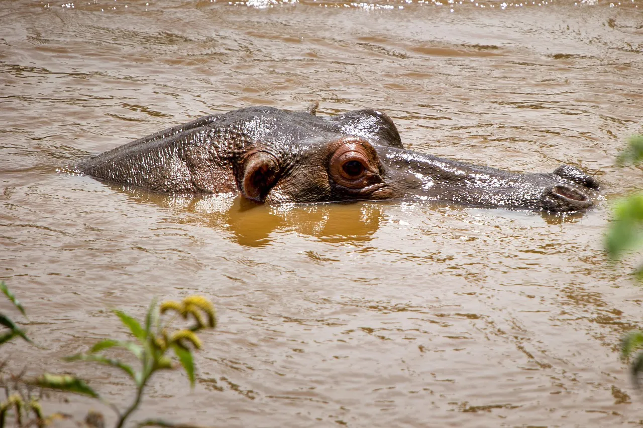 Quand l'angoisse nous étreint : la maman de la célèbre animatrice de NBC News a disparu, mais l'espoir demeure