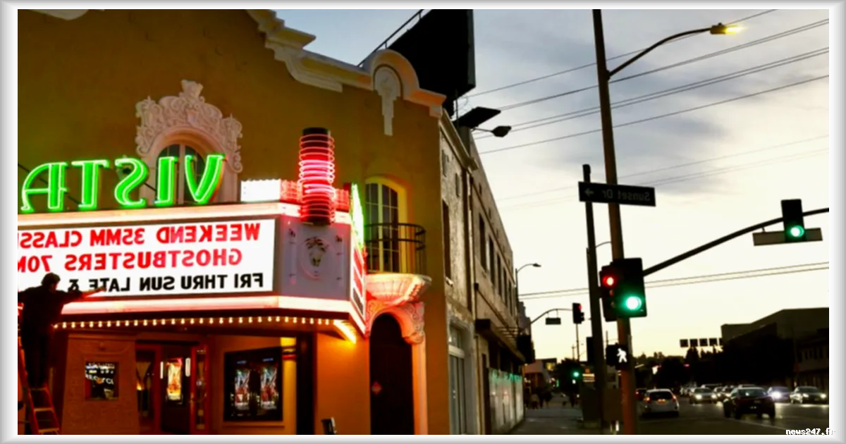 Quand les cinéphiles deviennent des experts des chiffres du box-office