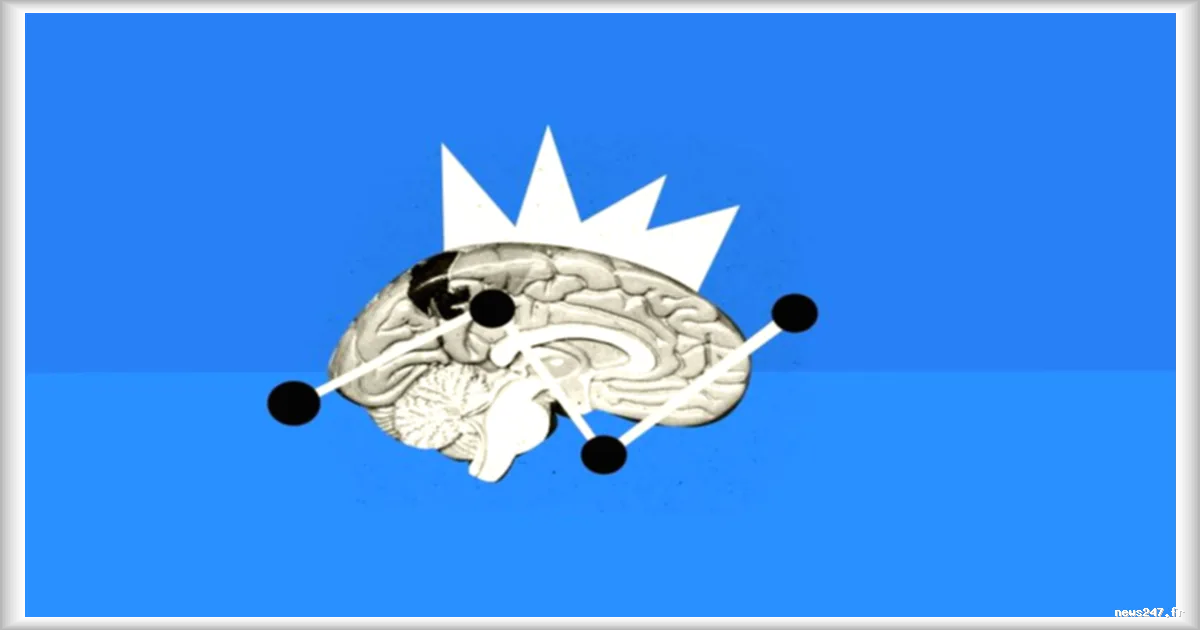 Quiz culturel : découvrez les réponses aux 8 questions
