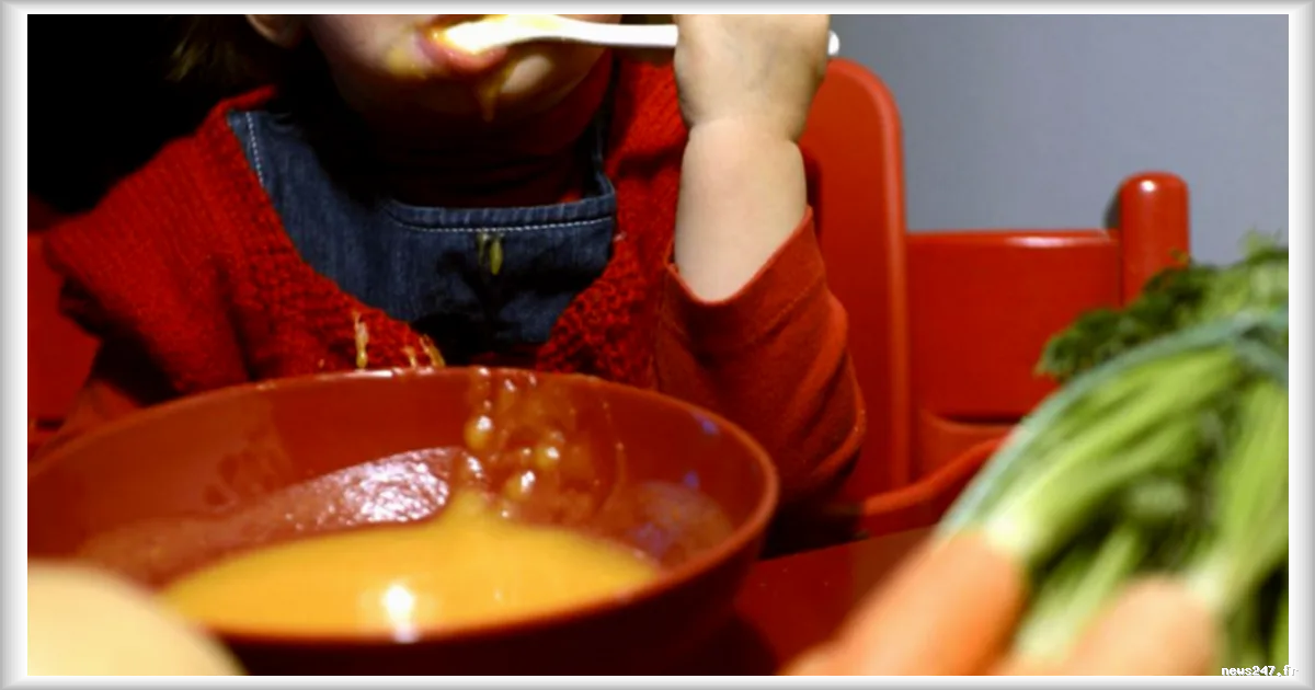 Rappel de petits pots pour bébés potentiellement mortels en Autriche : la marque HiPP prend des mesures préventives