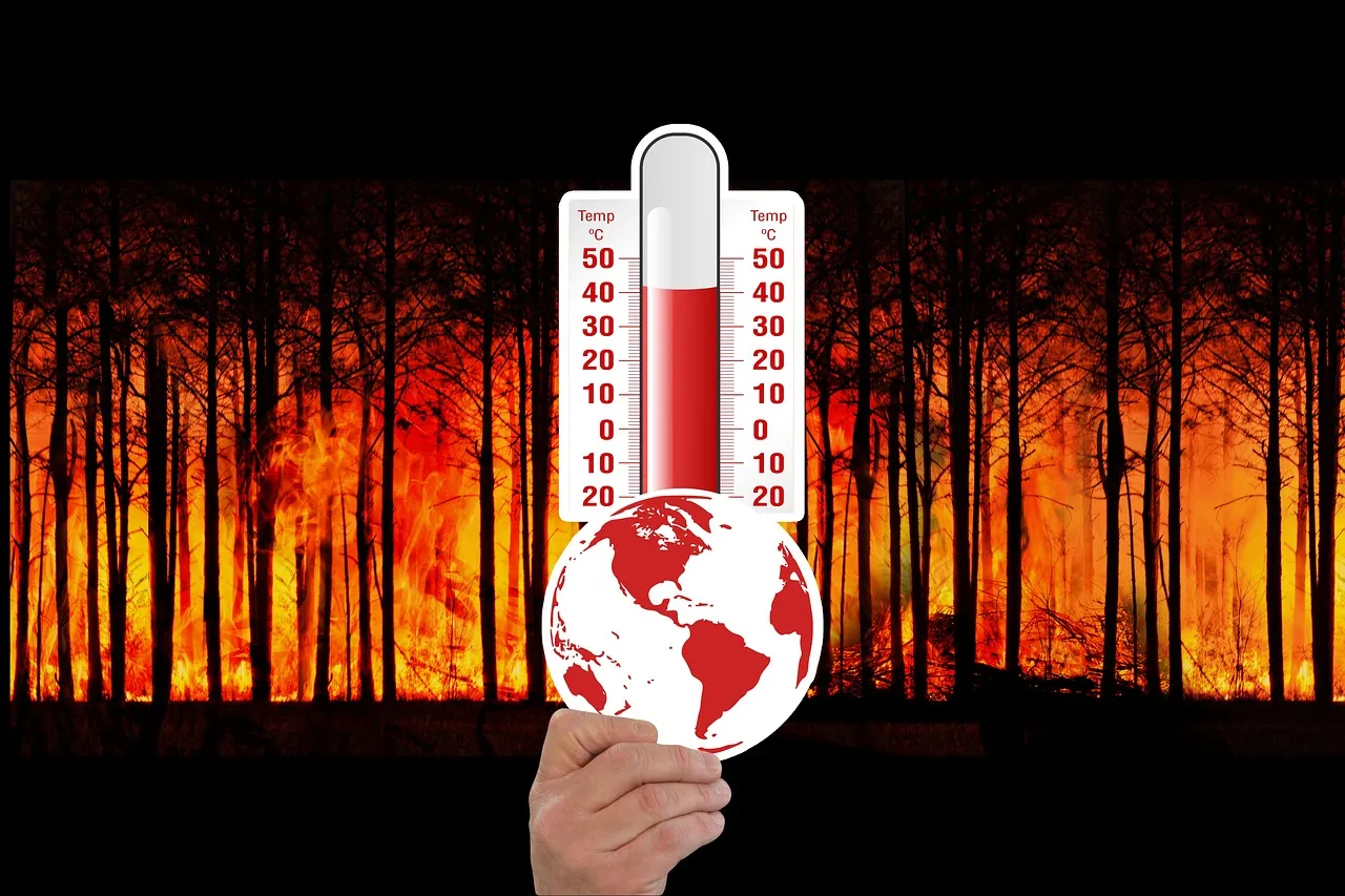 Réchauffement climatique : la Terre enregistre un rythme record d'accumulation de chaleur en 2025
