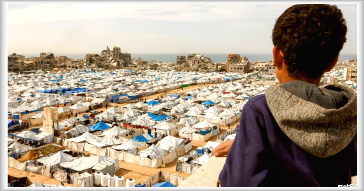 Reconstruction de la paix en Palestine : les défis après deux ans de guerre avec Israël