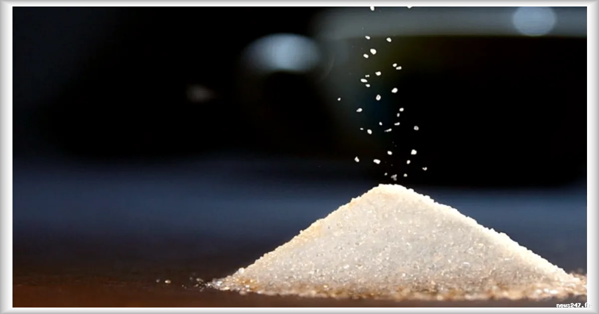 Réduction du sucre pendant la grossesse et les deux premières années de vie : un levier contre la démence à long terme