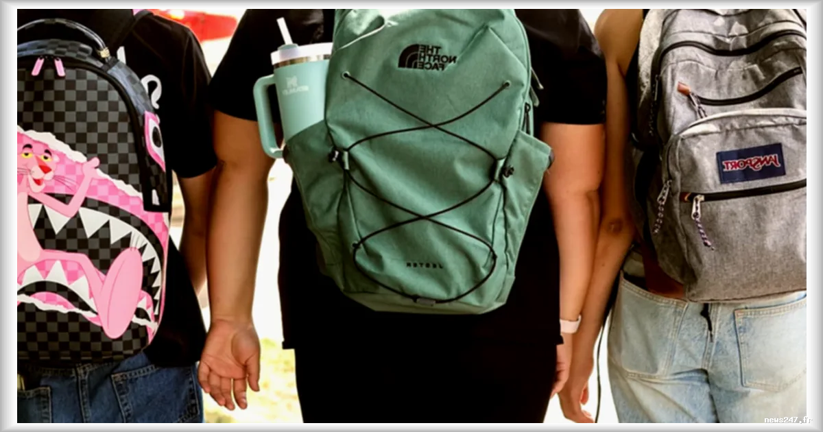 Rentrée scolaire : comment éviter que le cartable ne devienne une charge trop lourde pour le dos des enfants