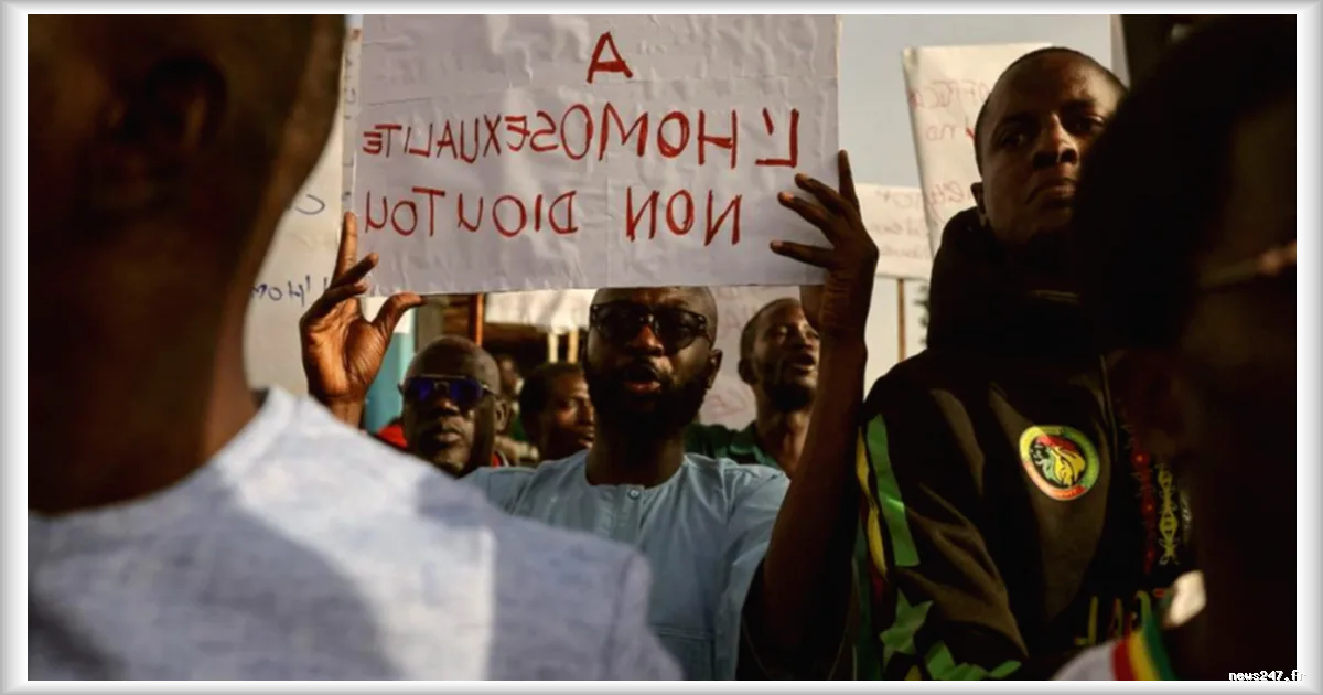 Résister à l'homophobie au Sénégal, un courage discret et quotidien