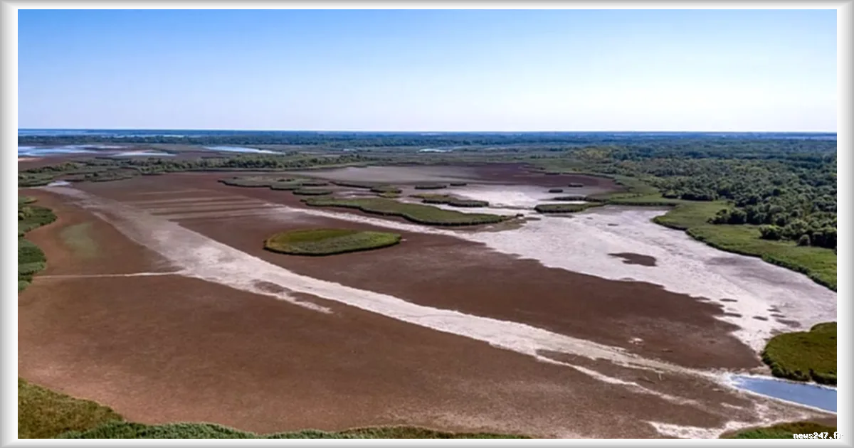 Restauration de la nature en Europe : les États appelés à combler un déficit de 65 milliards d’euros par an avant le 1er septembre