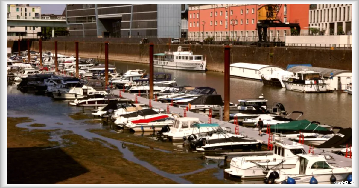 Rhin : un niveau d’eau historiquement bas menace l’économie allemande