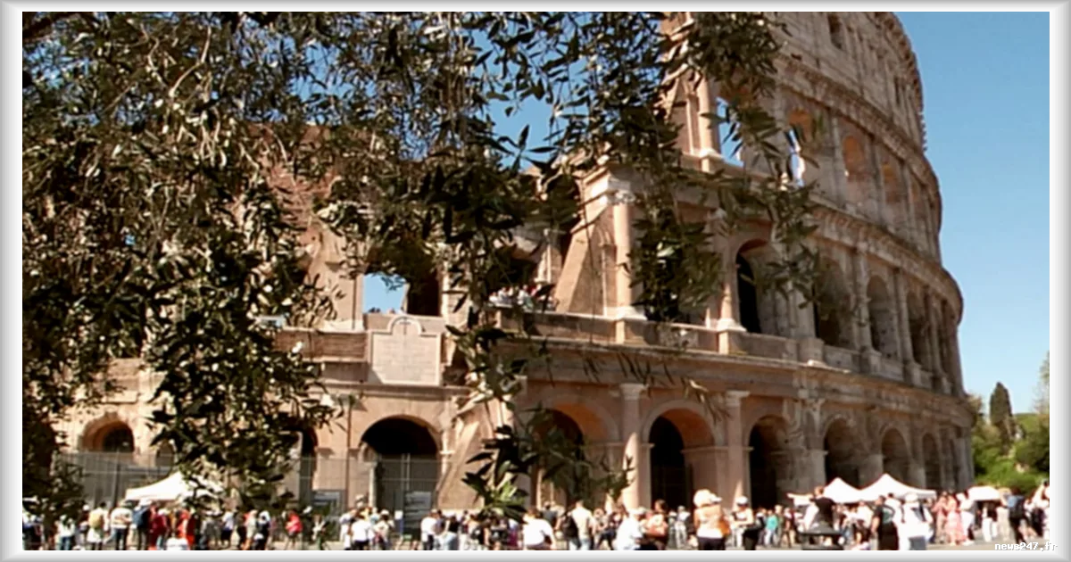 Rome redonne vie a sa production historique d'huile d'olive au Colisée