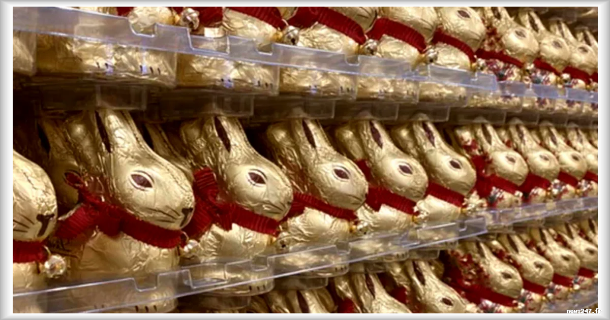 Royaume-Uni : un employé licencié après avoir intercepté un voleur de lapins de Pâques Lindt