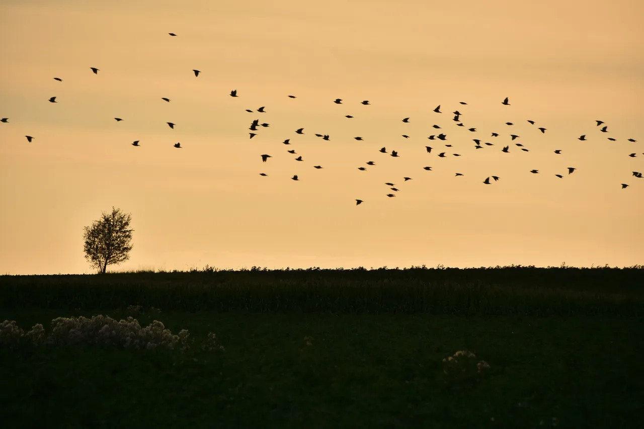 Saint-Valentin 2026 : 10 films romantiques cultes à (re)voir sur les plateformes de streaming