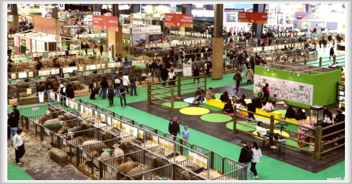 Salon de l'agriculture : la fréquentation en chute d'un quart en raison de l'absence de bovins