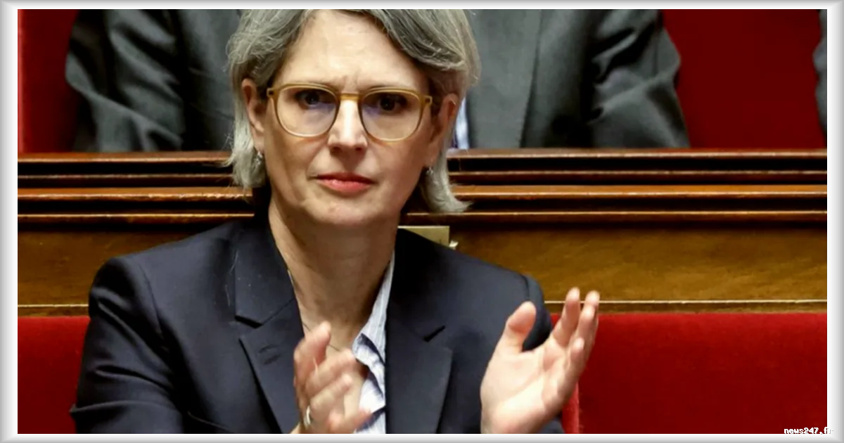 Sandrine Rousseau estime que la multiplication des canicules et des incendies signale « l'effondrement qui commence »