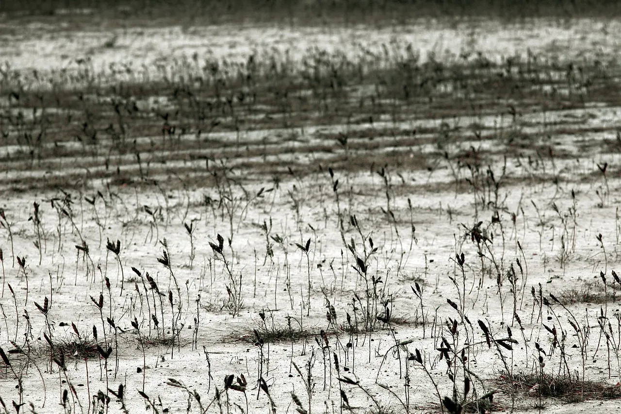 Sécheresse : les petits cours d’eau en état de dégradation « exceptionnel », alerte l’Office français de la biodiversité