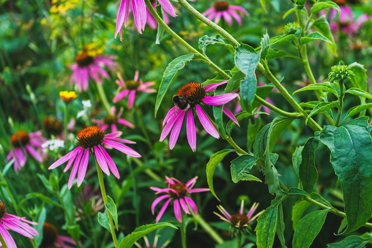 Secretlab Magnus Evo : et si on se débarrassait enfin des câbles ?