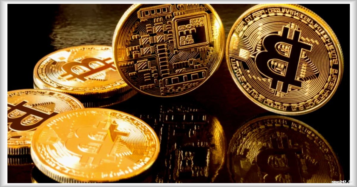 Seine-et-Marne : une tentative d’enlèvement ciblant l’épouse d’un cofondateur de cryptomonnaie déjouée